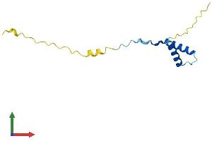 AlphaFold protein structure predicition of Human Recombinant ERVK-21 Protein, UniprotID P61571 (ERVK-21 Protein (AA 1-104) (His tag))