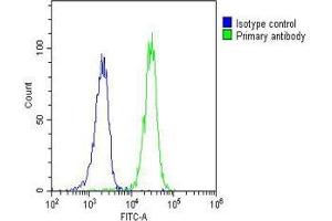 Overlay histogram showing Raji cells stained with (ABIN6244076 and ABIN6577160)(green line). (RASSF2 antibody  (AA 1-326))