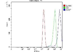 Flow Cytometry analysis of CACO-2 cells using anti-Angiomotin/AMOT antibody (ABIN7599826). (Angiomotin antibody  (AA 12-622))