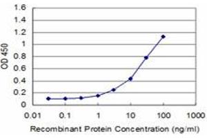 Detection limit for recombinant GST tagged EN1 is approximately 1ng/ml as a capture antibody. (EN1 antibody  (AA 266-392))
