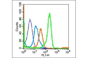 Mouse Spleen cells probed with CD8a Polyclonal Antibody, unconjugated  at 1:100 dilution for 30 minutes compared to control cells (blue) and isotype control (orange) (CD8 antibody  (AA 101-200))