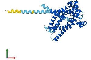 AlphaFold protein structure predicition of Mouse Recombinant Slc25a42 Protein, UniprotID Q8R0Y8