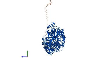 AlphaFold protein structure predicition of Human Recombinant GLB1L3 Protein, UniprotID Q8NCI6 (GLB1L3 Protein (AA 1-653) (His tag))