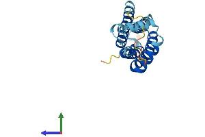 AlphaFold protein structure predicition of Mouse Recombinant Tspan31 Protein, UniprotID Q9CQ88 (TSPAN31 Protein (AA 1-210) (His tag))