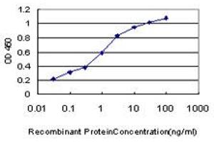 Detection limit for recombinant GST tagged TAOK1 is approximately 0. (TAO Kinase 1 (TAOK1) (AA 892-1001) antibody)