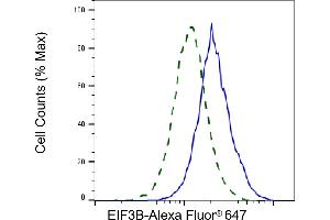 Validation of EIF3B knockdown using flow cytometry. (Recombinant EIF3B antibody)