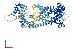 Protein Structure (PS) image for Solute Carrier Family 25 (Mitochondrial Carrier, Phosphate Carrier), Member 24 (SLC25A24) (AA 1-477) protein (His tag) (ABIN7555416)