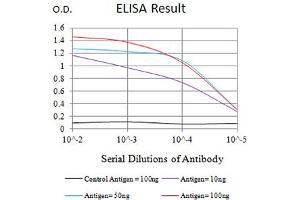 Black line: Control Antigen (100 ng),Purple line: Antigen (10 ng), Blue line: Antigen (50 ng), Red line:Antigen (100 ng) (LILRB2 antibody  (AA 51-184))