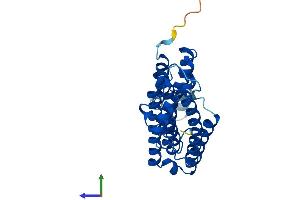 AlphaFold protein structure predicition of Human Recombinant ICMT Protein, UniprotID O60725 (ICMT Protein (AA 1-284) (His tag))