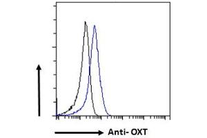 ABIN570836 Flow cytometric analysis of paraformaldehyde fixed NIH3T3 cells (blue line), permeabilized with 0. (OXT antibody  (C-Term))