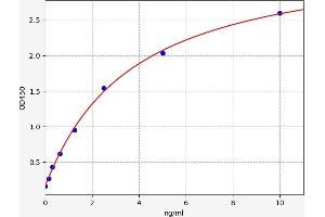 Typical standard curve (ELAVL2 ELISA Kit)