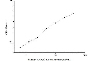 Typical standard curve (Annexin A2 ELISA Kit)