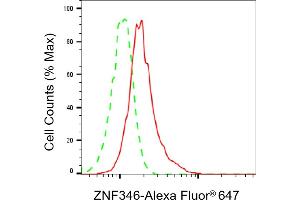 Flow cytometric analysis of ZNF346 expression in HeLa cells using ZNF346 antibody (ABIN7800896), 1:2,000).