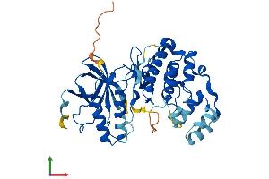 AlphaFold protein structure predicition of Mouse Recombinant Mapk12 Protein, UniprotID O08911 (MAPK12 Protein (AA 1-367) (His tag))