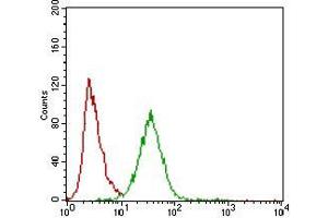 Flow cytometric analysis of Hela cells using ZEB1 mouse mAb (green) and negative control (red). (ZEB1 antibody  (AA 967-1108))