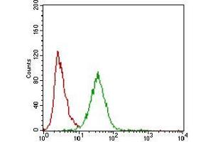 Flow cytometric analysis of Hela cells using ZEB1 mouse mAb (green) and negative control (red). (ZEB1 antibody  (AA 967-1108))