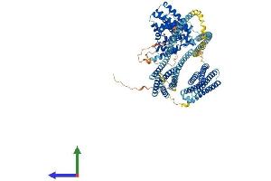 AlphaFold protein structure predicition of Mouse Recombinant Hip1 Protein, UniprotID Q8VD75 (HIP1 Protein (AA 1-1029) (His tag))