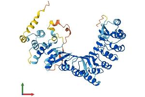 AlphaFold protein structure predicition of Human Recombinant PRAMEF5 Protein, UniprotID Q5TYX0 (PRAMEF5 Protein (AA 1-476) (His tag))