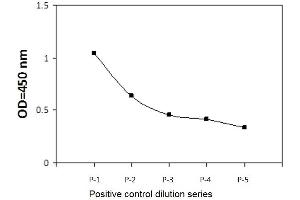 T47D cells were exposed to 50J/m2 of UV light followed by a 4 hours recovery period. (ATR ELISA Kit)