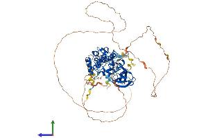 AlphaFold protein structure predicition of Human Recombinant PAK6 Protein, UniprotID Q9NQU5 (PAK6 Protein (AA 1-681) (His tag))