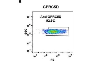 Flow Cytometry (FACS) image for anti-G Protein-Coupled Receptor, Family C, Group 5, Member D (GPRC5D) (AA 2-21) antibody (ABIN7092892) (GPRC5D antibody  (AA 2-21))