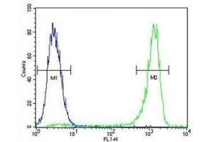 VEGFC antibody flow cytometric analysis of MCF-7 cells (green) compared to a negative control (blue). (VEGFC antibody  (AA 20-49))