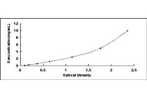 Typical standard curve (CXCL5 ELISA Kit)