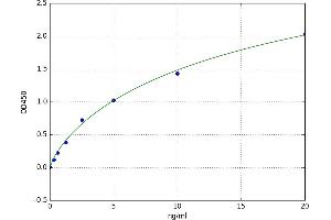 Oncoprotein Induced Transcript 3 (OIT3) ELISA Kit