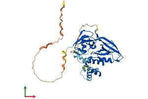 AlphaFold protein structure predicition of Human Recombinant GIPC1 Protein, UniprotID O14908