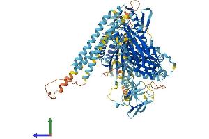 AlphaFold protein structure predicition of Human Recombinant KIF28P Protein, UniprotID B7ZC32 (KIF28P (AA 1-967) protein (His tag))