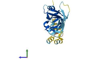 AlphaFold protein structure predicition of Human Recombinant C6orf62 Protein, UniprotID Q9GZU0 (C6ORF62 Protein (AA 1-229) (His tag))