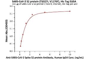 Immobilized SARS-CoV-2 S2 protein (T1027I, V1176F), His Tag (ABIN6992375) at 1 μg/mL (100 μL/well) can bind A-CoV-2 Spike S2 protein Antibody, Human IgG4 (S2N-S86) with a linear range of 0.