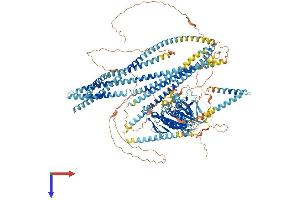 AlphaFold protein structure predicition of Mouse Recombinant Kif7 Protein, UniprotID B7ZNG0 (KIF7 Protein (AA 1-1348) (His tag))
