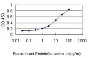 Detection limit for recombinant GST tagged SCGB1A1 is approximately 0. (SCGB1A1 antibody  (AA 1-91))
