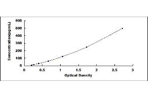 Typical standard curve (IL-6 ELISA Kit)