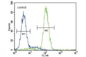 Flow Cytometry (FACS) image for anti-3-Hydroxy-3-Methylglutaryl-CoA Synthase 2 (Mitochondrial) (HMGCS2) antibody (ABIN3002804) (HMGCS2 antibody)