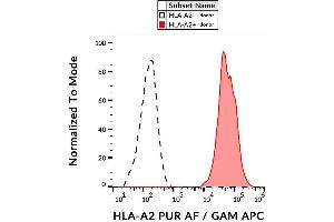 Surface staining of human peripheral blood cells using anti-HLA-A2 (BB7. (HLA-A2 antibody)