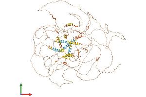 AlphaFold protein structure predicition of Human Recombinant SPATA31C2 Protein, UniprotID B4DYI2 (SPATA31C2 Protein (AA 1-1134) (His tag))