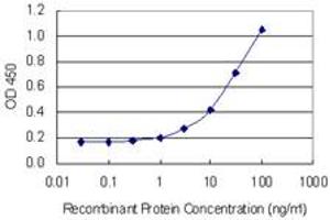 Detection limit for recombinant GST tagged TCEA2 is 1 ng/ml as a capture antibody. (TCEA2 antibody  (AA 81-180))
