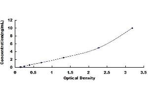 Typical standard curve (Kallikrein 7 ELISA Kit)