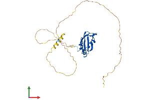 AlphaFold protein structure predicition of Human Recombinant RBM7 Protein, UniprotID Q9Y580 (RBM7 Protein (AA 1-266) (His tag))