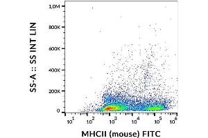 Surface staining of MHCII on murine splenocytes with anti-MHCII (M5/114) FITC. (MHC Class II antibody  (FITC))