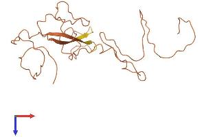 Keratin Associated Protein 5-1 (KRTAP5-1) (AA 1-230) protein (His tag)