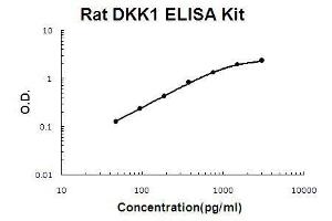 Rat DKK1 PicoKine ELISA Kit standard curve (DKK1 ELISA Kit)