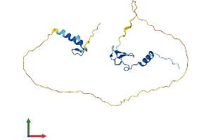 AlphaFold protein structure predicition of Human Recombinant ZFAND5 Protein, UniprotID O76080 (ZFAND5 Protein (AA 1-213) (His tag))