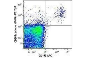 Flow Cytometry (FACS) image for anti-Ectonucleotide pyrophosphatase/phosphodiesterase 3 (ENPP3) antibody (PE-Cy7) (ABIN2659171) (ENPP3 antibody  (PE-Cy7))