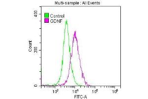 Overlay histogram showing SH-SY5Y cells stained with ABIN7127513 (red line) at 1:50. (Recombinant GDNF antibody)