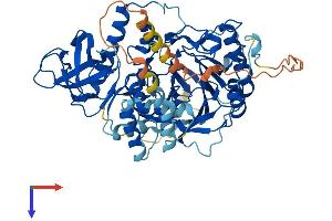 POLA2 Protein (AA 1-598) (His tag)
