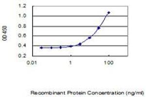 Detection limit for recombinant GST tagged ARV1 is 0. (ARV1 antibody  (AA 1-271))