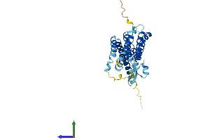 AlphaFold protein structure predicition of Mouse Recombinant Fitm1 Protein, UniprotID Q91V79